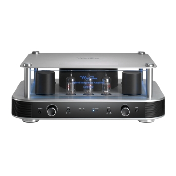 McGee Legend Amplifier Bluetooth + Wifi - Röhrenverstärker